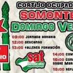 Continua Apoyando a Somonte. Bonos de Apoyo, Concentración el día 15, Domingo Verde día 17
